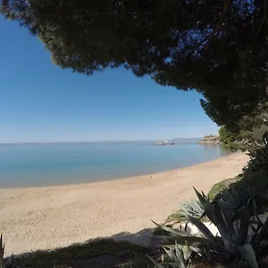 https://new-madrague-beach.topcostabravahotels.com